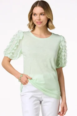 Chiffon Ruffled Sleeve Top