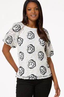 Embroidered Mesh Puff Sleeve Top