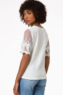 Lacy Mesh Sleeve Top