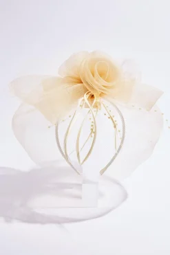 Mesh Flower Feather Veil Fascinator