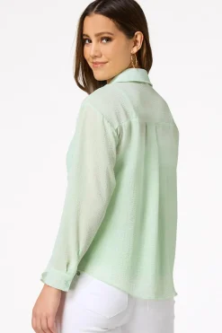 Petite Solid Sheer Button Down Top