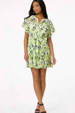Pleated Ruffled Sleeve Dress