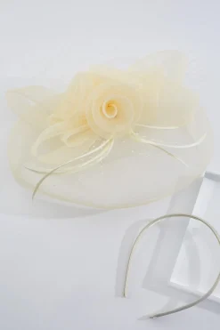 Rosette Feather Veil Fascinator