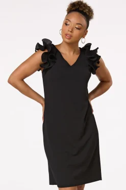 Ruffled Sleeve Dress