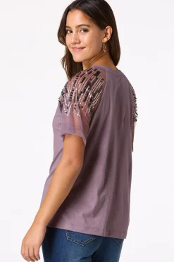 Sequin Mesh Sleeve Top